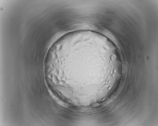 X0000072991439200608111756