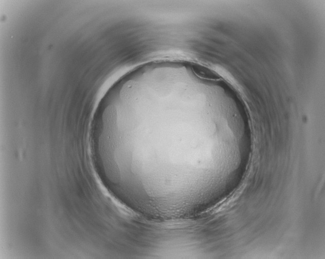 X0000072991440200608111756