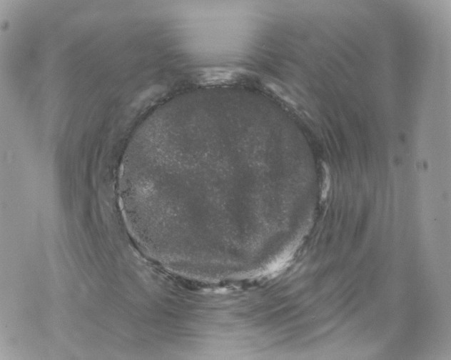 X0000072991441200608111755