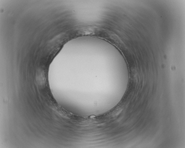 X0000072991442200608111755