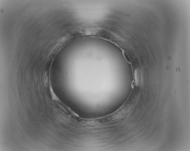 X0000072991443200608111755