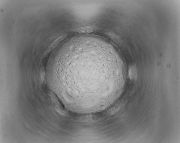 X0000072991444200608111755