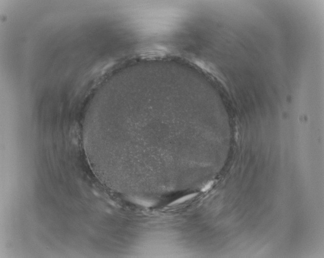 X0000072991445200608111755