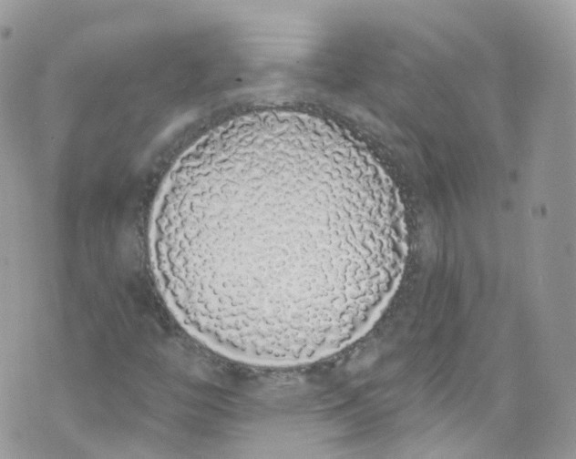 X0000072991446200608111755