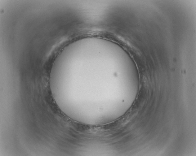 X0000072991447200608111755