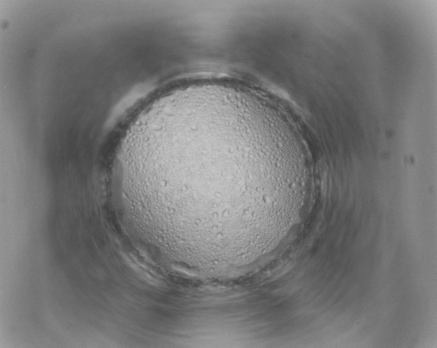 X0000072991448200608111755