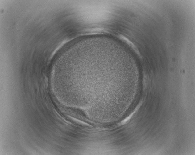 X0000072991449200608111755