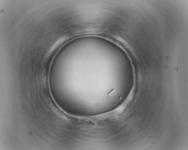 X0000072991450200608111755