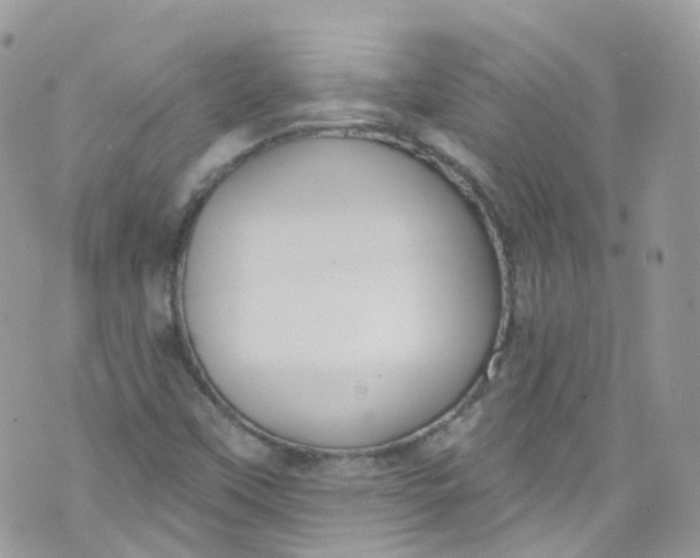 X0000072991451200608111755