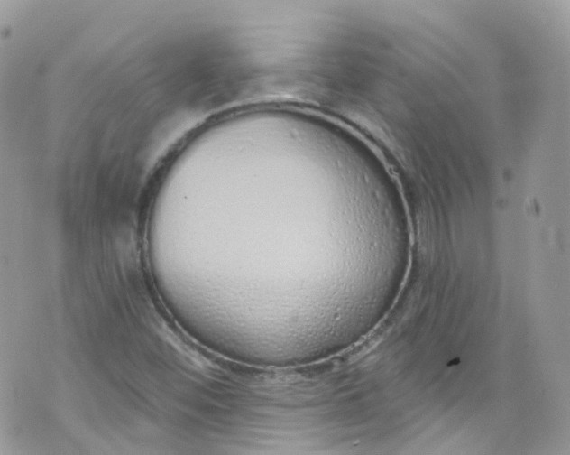 X0000072991452200608111755