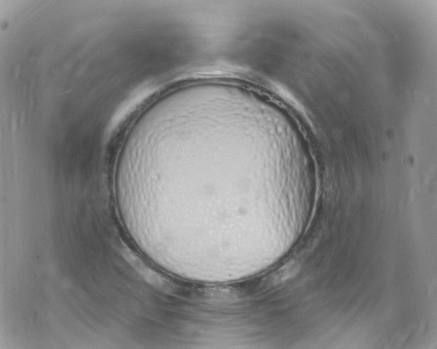 X0000072991456200608111755