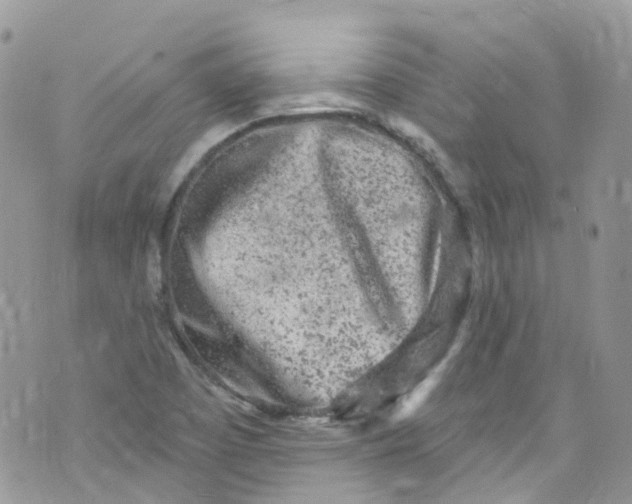 X0000072991457200608111755