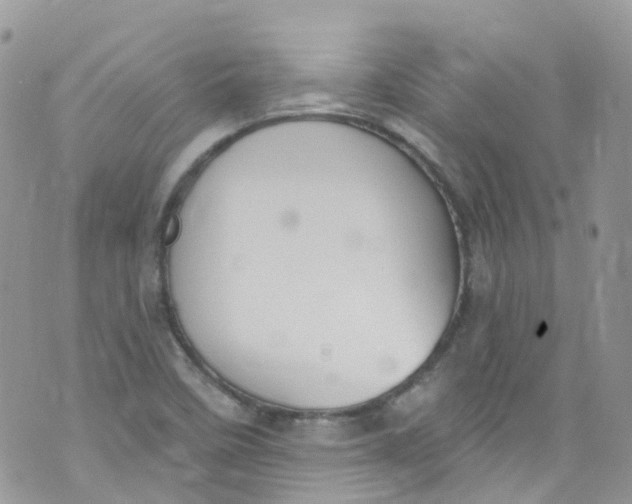 X0000072991458200608111755