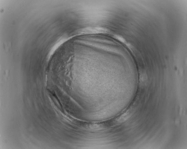 X0000072991459200608111755