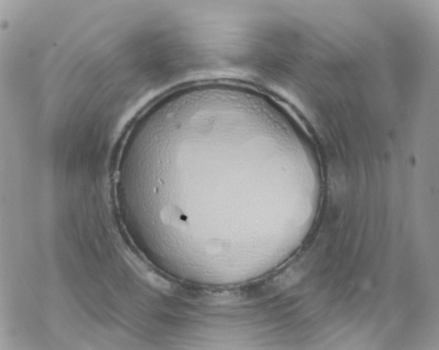 X0000072991460200608111755