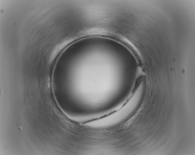 X0000072991461200608111755