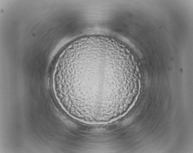 X0000072991462200608111755