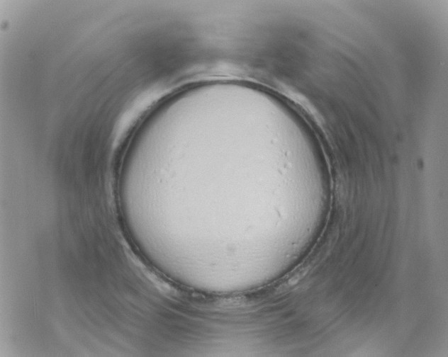 X0000072991464200608111755