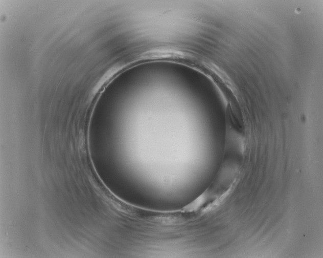 X0000072991465200608111755