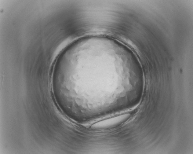 X0000072991467200608111755