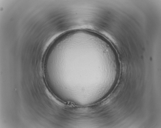 X0000072991468200608111755