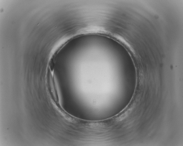 X0000072991469200608111755