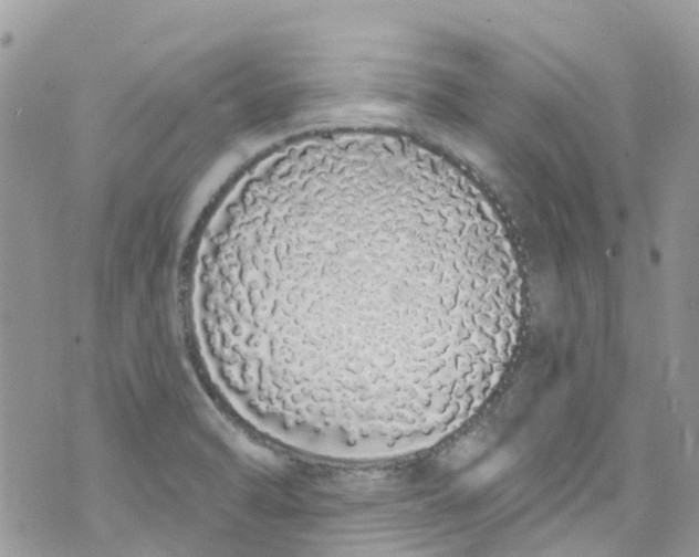 X0000072991470200608111754