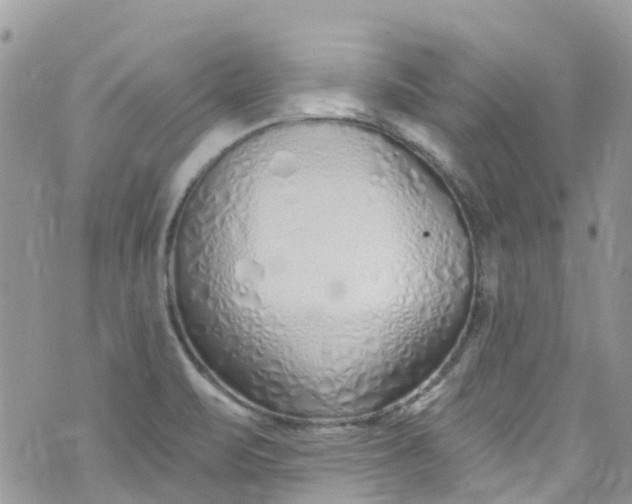 X0000072991471200608111754