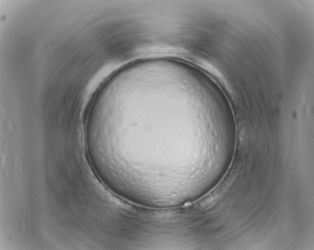 X0000072991472200608111754