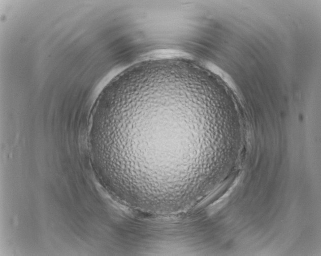 X0000072991473200608111754