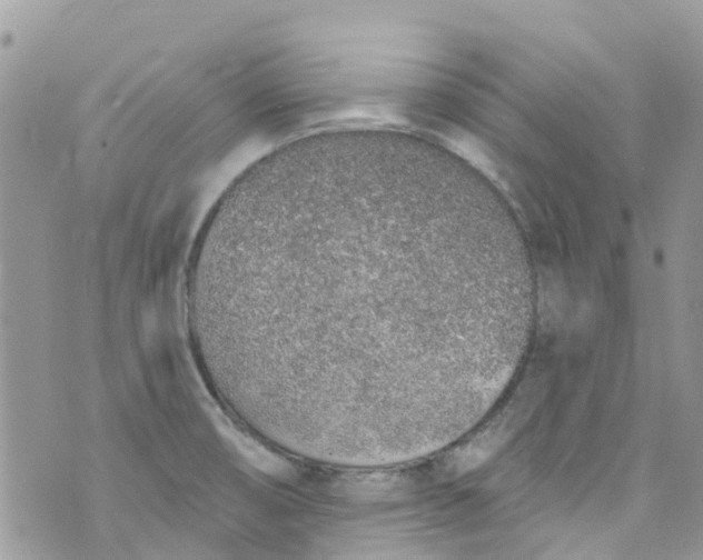 X0000072991474200608111754