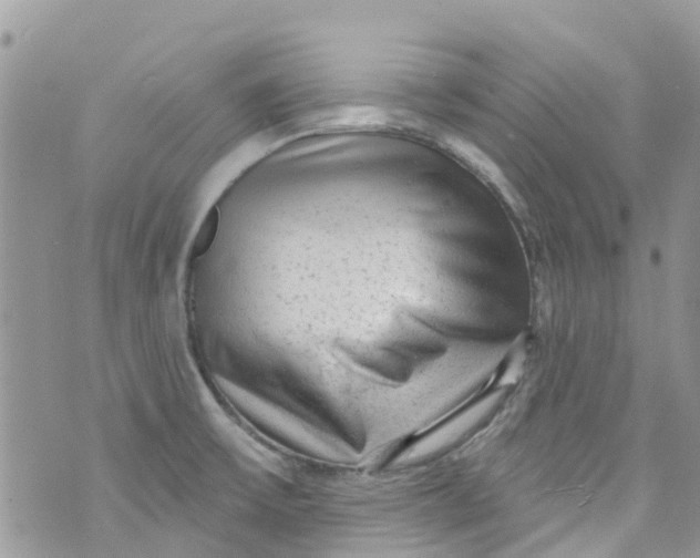 X0000072991475200608111754