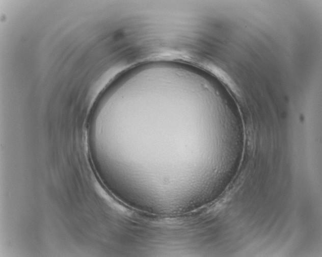 X0000072991476200608111754