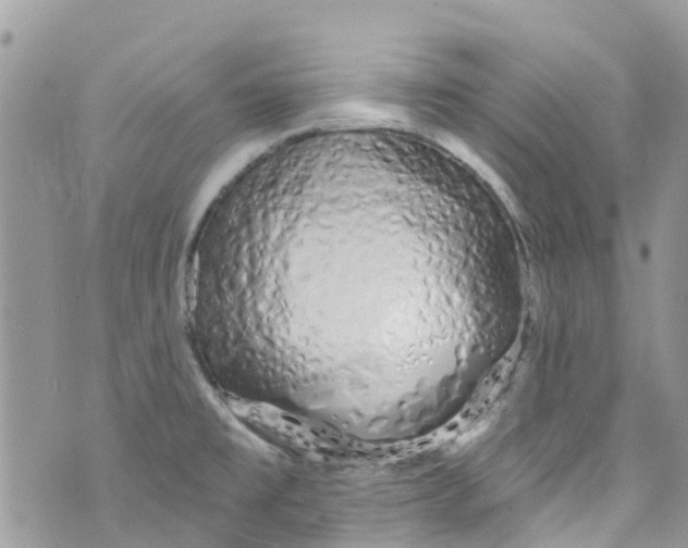 X0000072991477200608111754