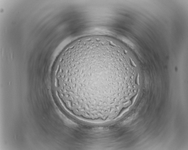 X0000072991478200608111754