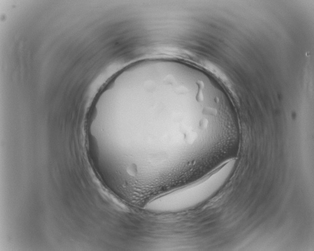 X0000072991480200608111754