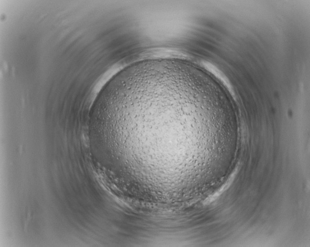 X0000072991481200608111754