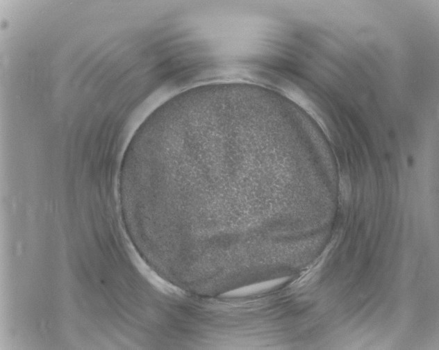 X0000072991482200608111754