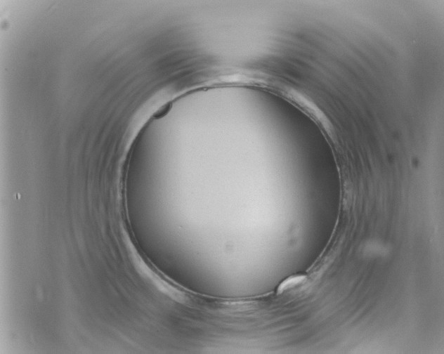 X0000072991483200608111754