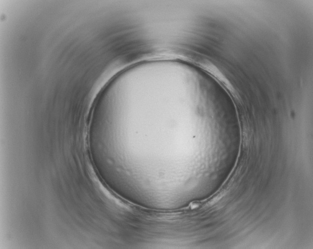 X0000072991484200608111754