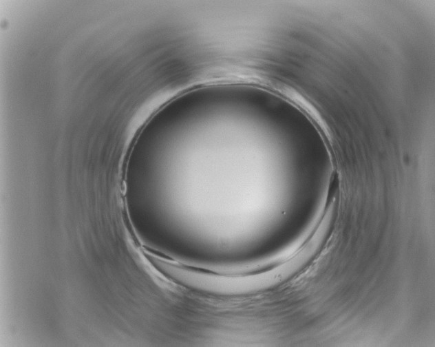 X0000072991485200608111754