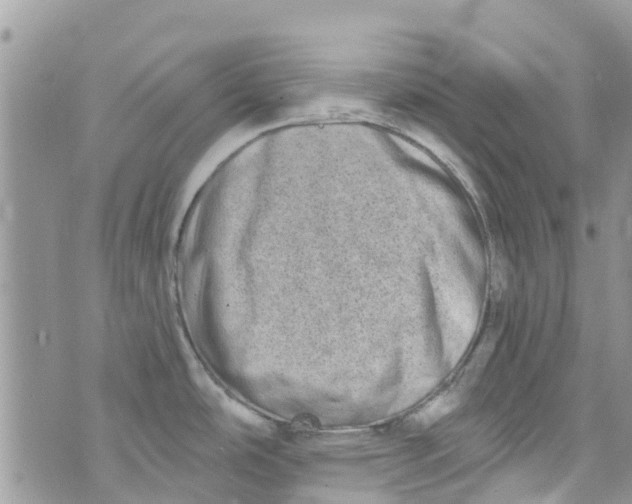 X0000072991486200608111754