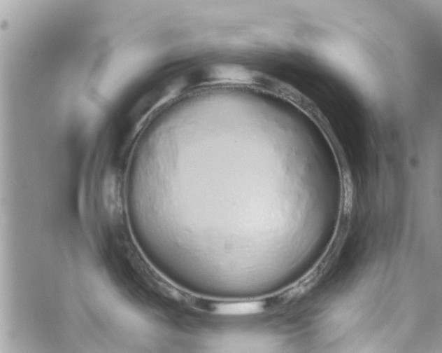 X0000072991487200608111754