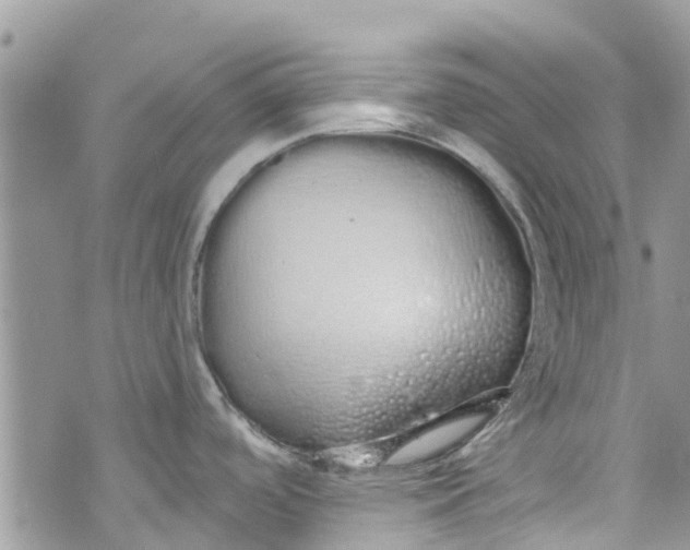 X0000072991488200608111754