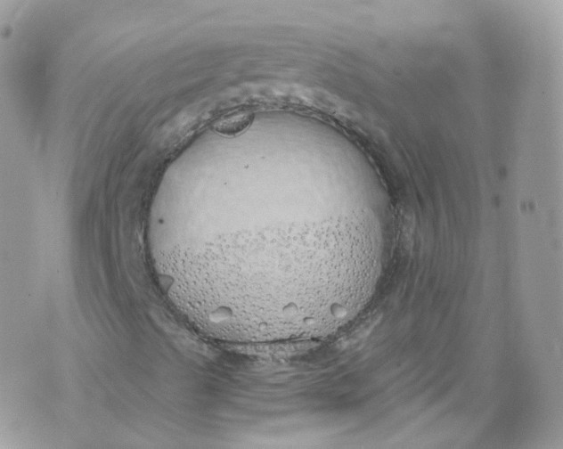 X0000072991489200608111753