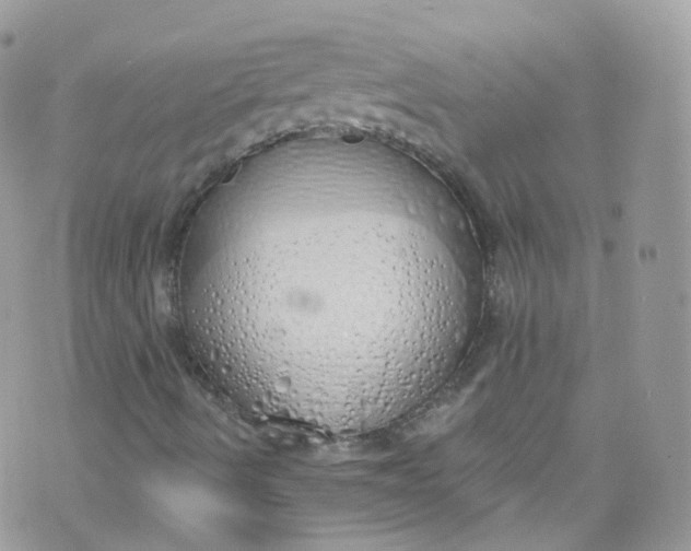 X0000072991490200608111753