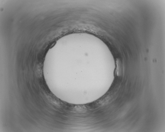 X0000072991491200608111753