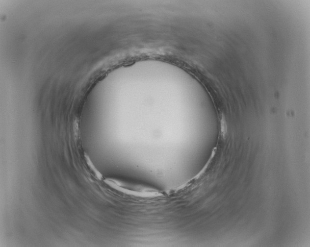 X0000072991492200608111753