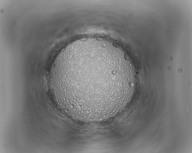 X0000072991493200608111753