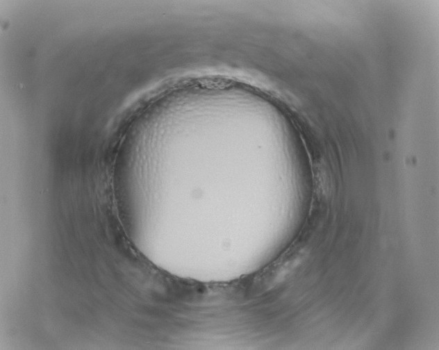 X0000072991494200608111754